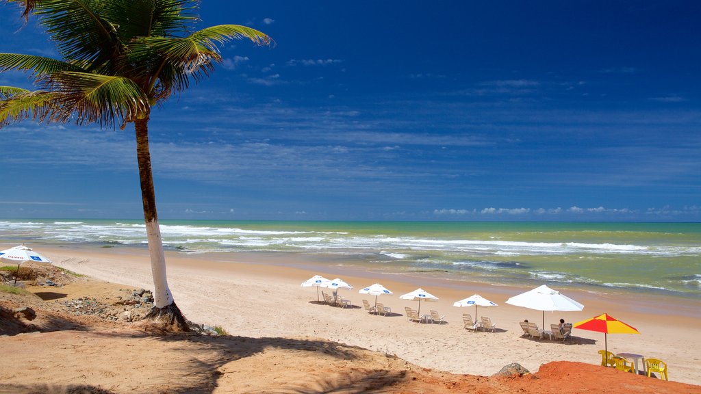 Salvador which includes tropical scenes and a sandy beach