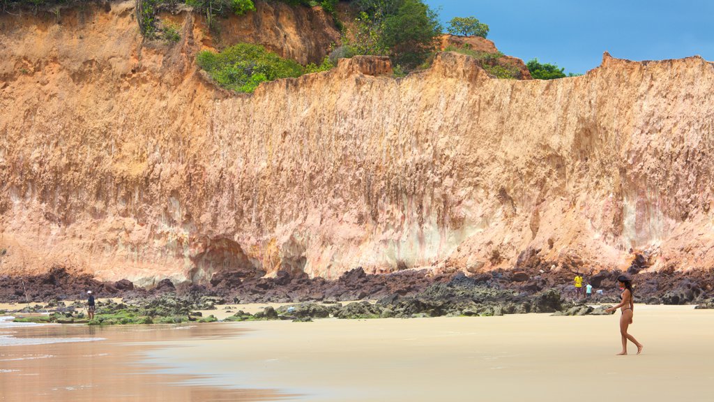 Cotovelo Beach featuring a sandy beach