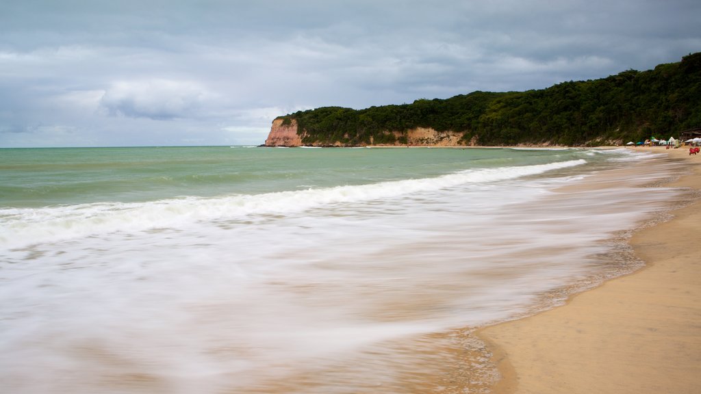 Pipa caracterizando ondas, paisagens litorâneas e uma praia de areia