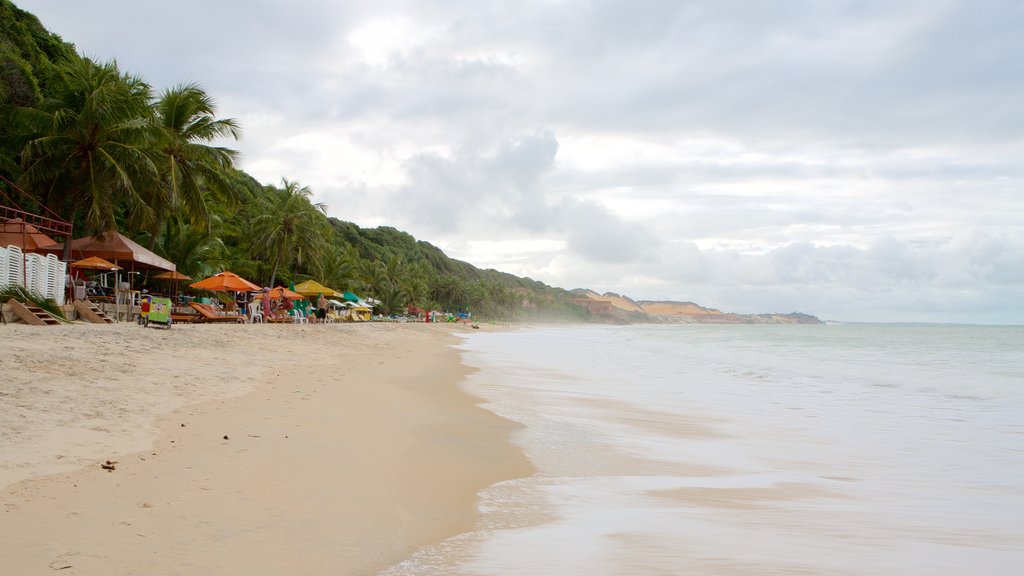 Pipa que inclui uma praia de areia, paisagens litorâneas e cenas tropicais