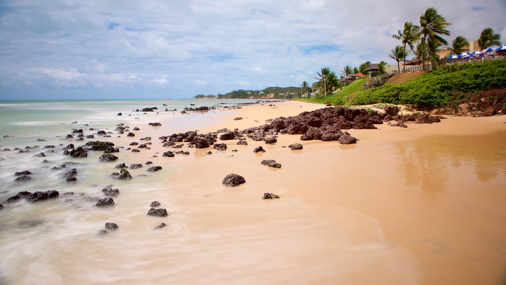 Pirangi Beach featuring tropical scenes, general coastal views and a beach