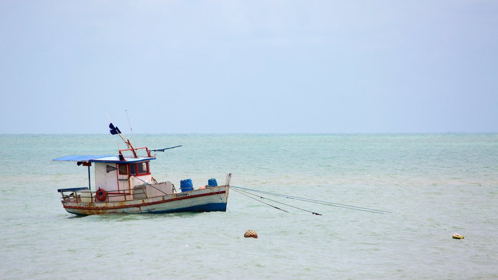 Plage de Pirangi mettant en vedette paysages côtiers, bateau et pêche