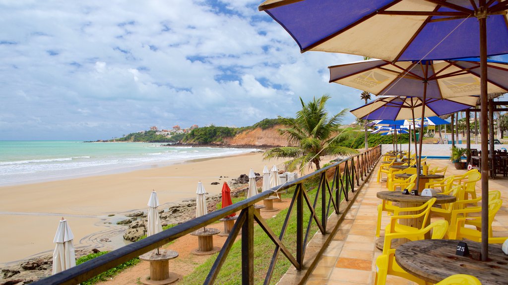 Praia de Cotovelo que inclui uma praia de areia e paisagens litorâneas