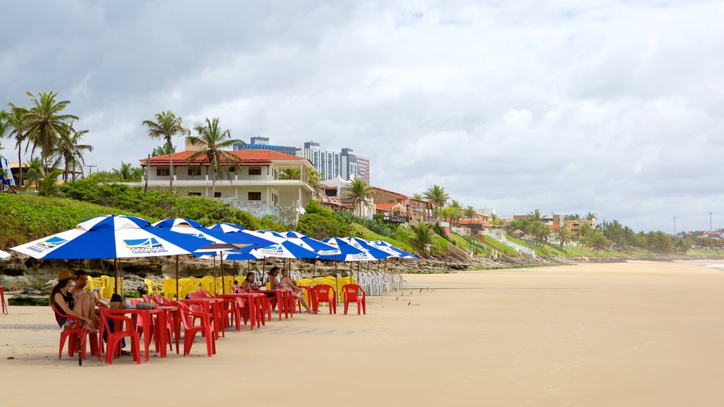 Cotovelo Beach showing general coastal views, outdoor eating and a sandy beach