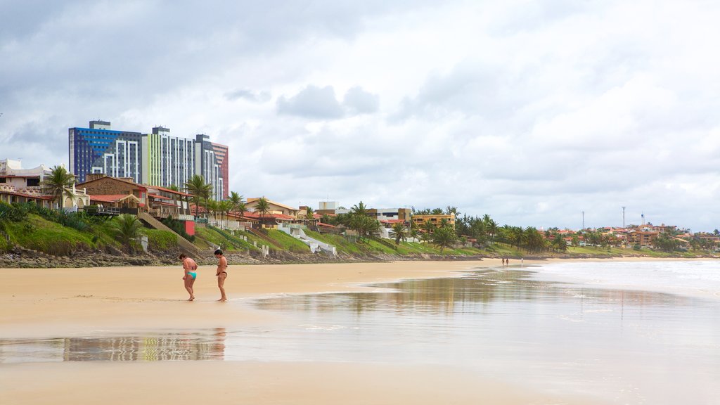 Cotovelo Beach showing general coastal views and a sandy beach