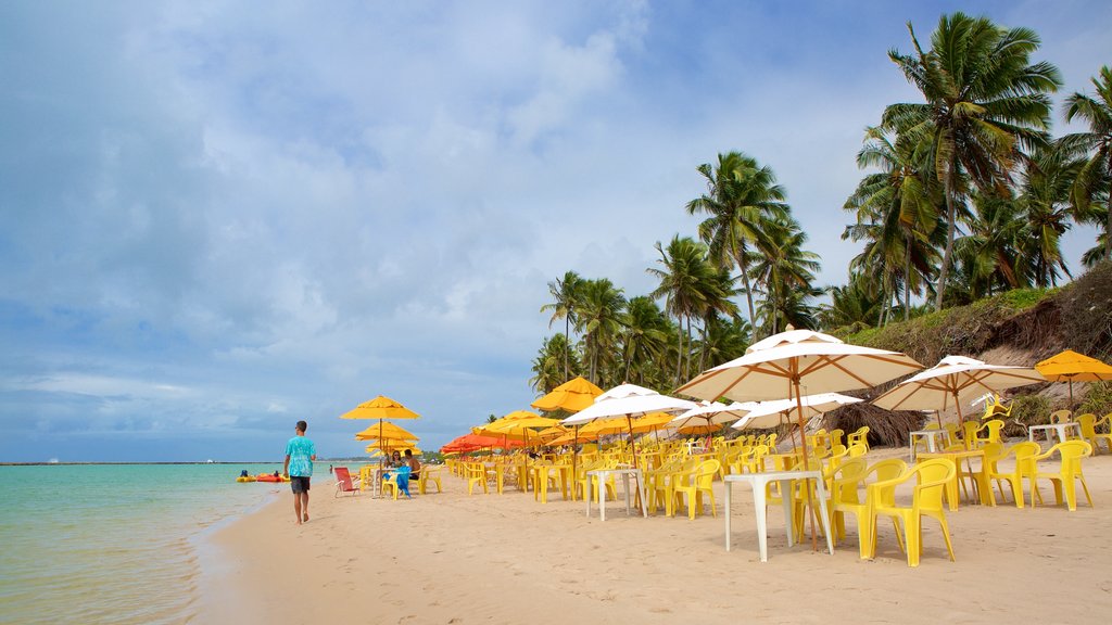 Ipojuca que incluye vistas generales de la costa, una playa de arena y escenas tropicales