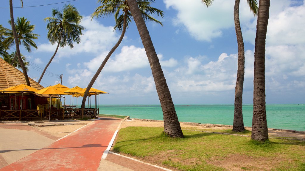 Plage de Ponta Verde mettant en vedette vues littorales et ville côtière