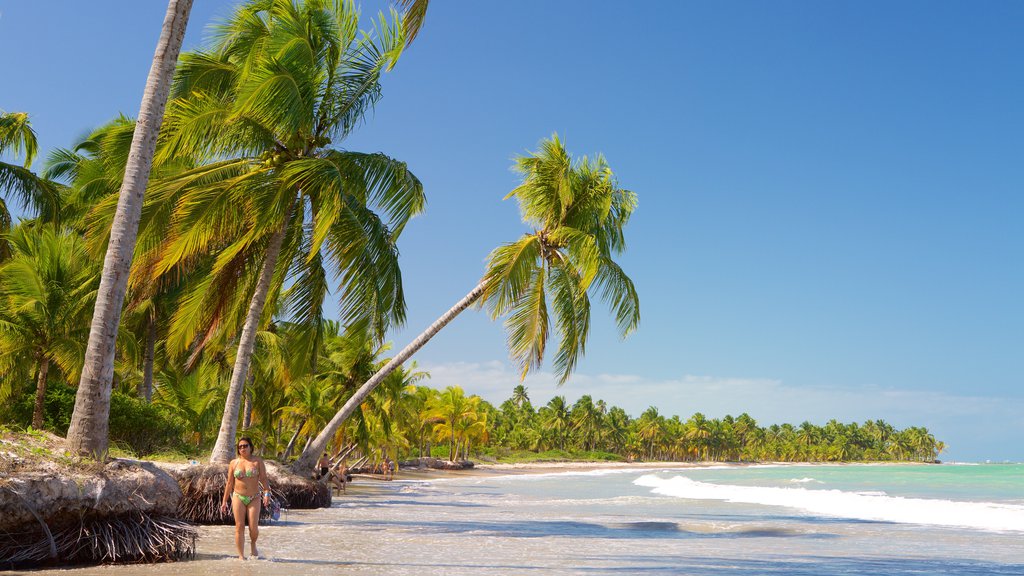 Playa Ipioca que incluye escenas tropicales, vista general a la costa y una playa