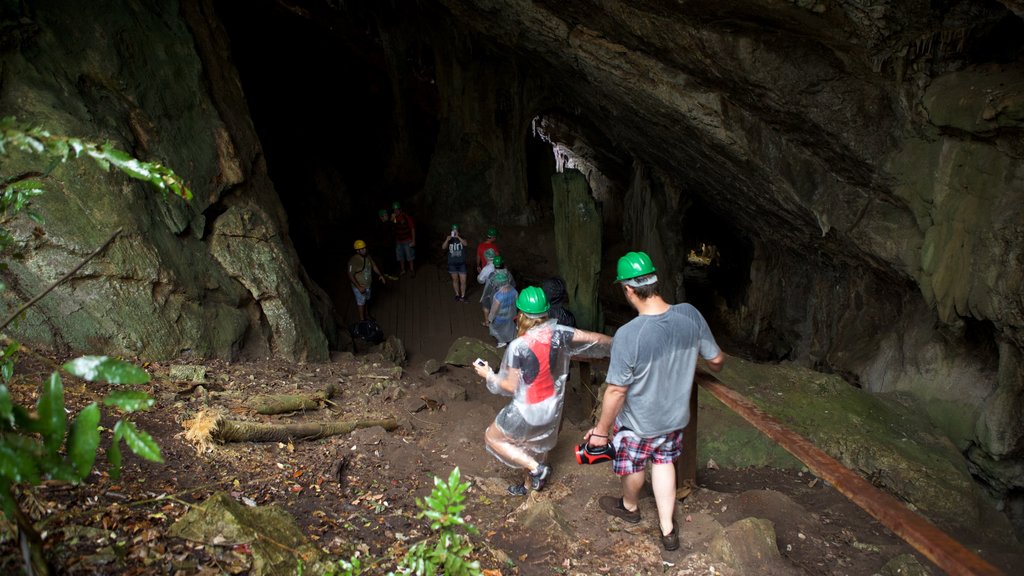 Gruta de São Miguel mostrando cuevas y también un pequeño grupo de personas