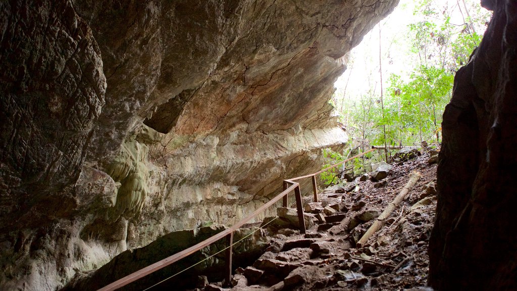 Sao Miguel Cave showing caves