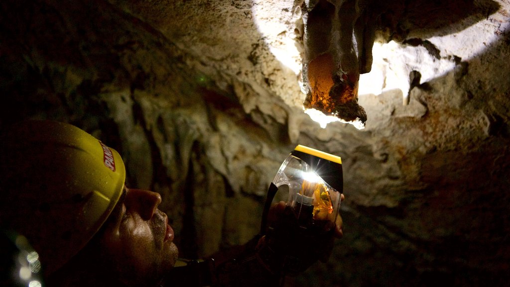 Sao Miguel Cave featuring caving and caves as well as an individual male