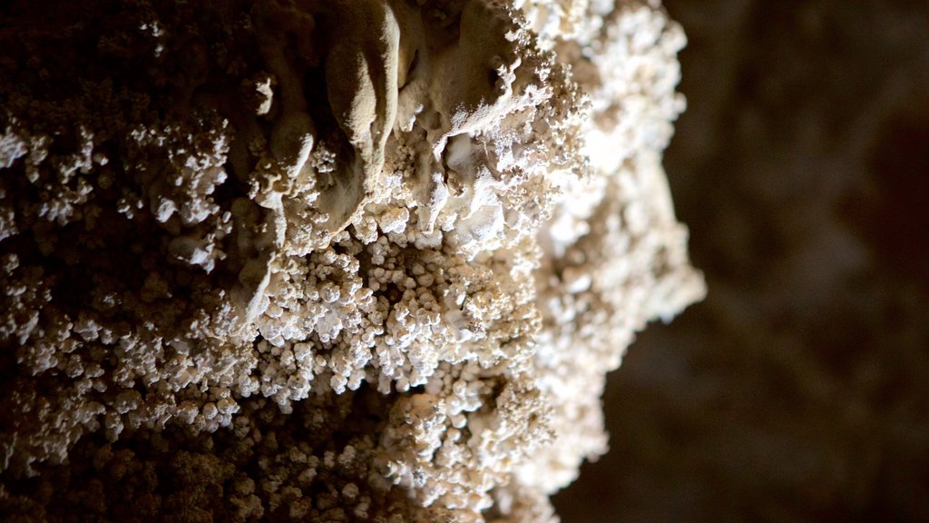 Sao Miguel Cave showing caves