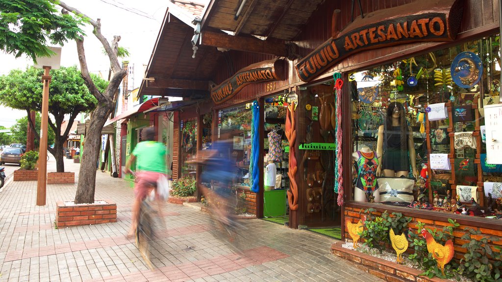 Bonito showing signage and shopping