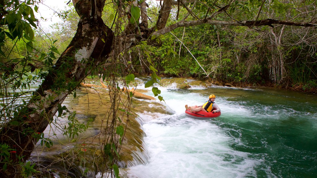 Formosa River Ecological Park showing rafting, rainforest and rapids