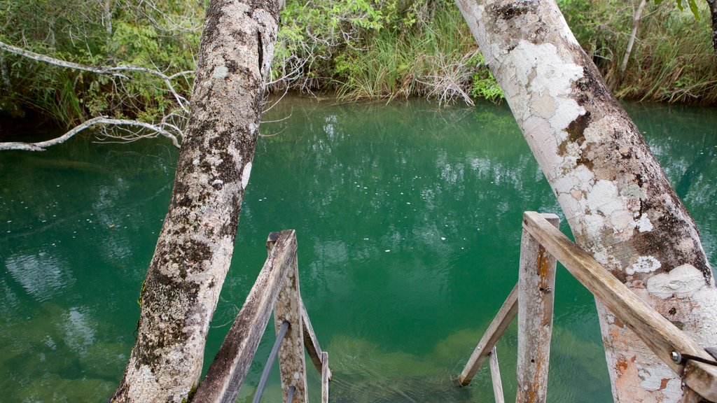 Parc écologique de Formosa montrant une rivière ou un ruisseau