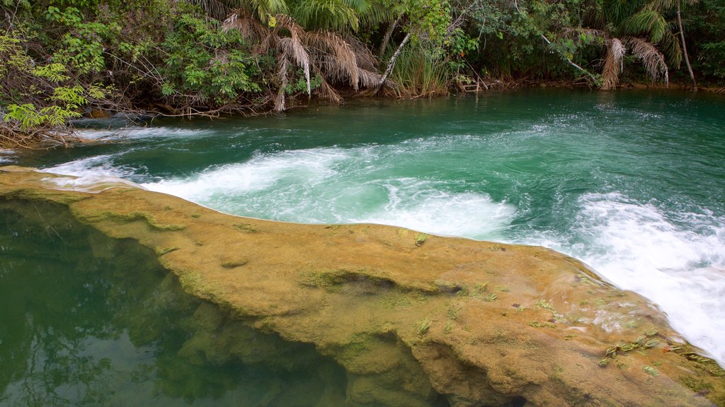 Formosa River Ecological Park showing rainforest, a river or creek and rapids