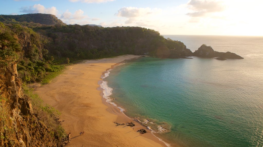 Sancho Beach showing a sandy beach and general coastal views