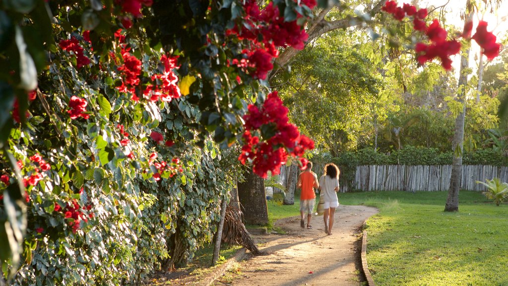 Porto Seguro caracterizando um jardim e flores assim como um casal