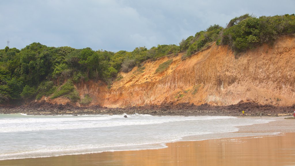 Cotovelo Beach which includes a beach and general coastal views