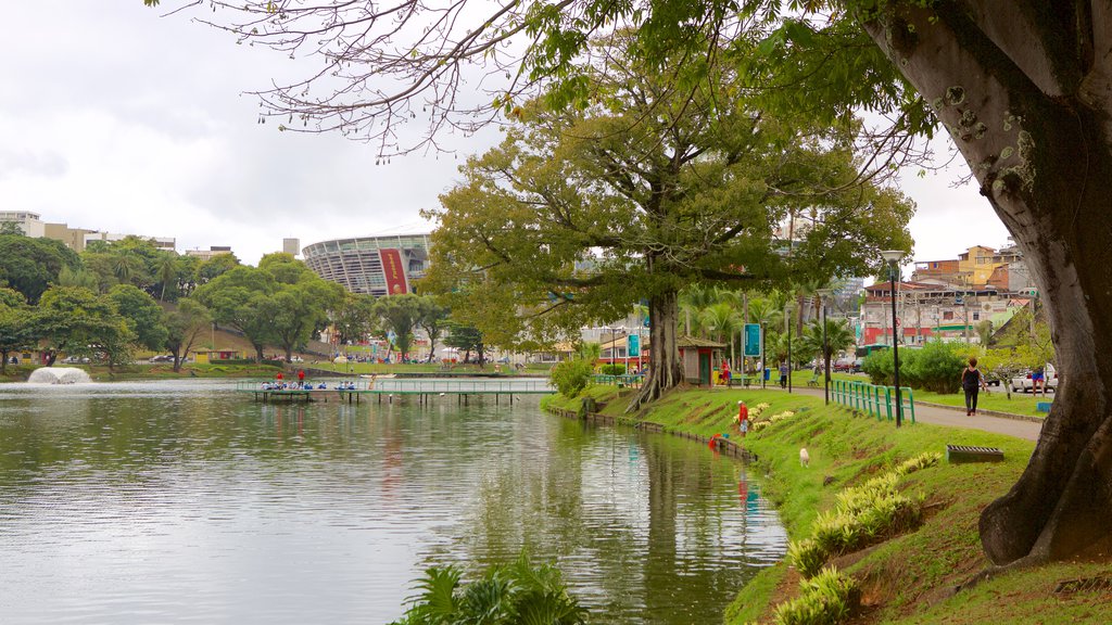 Fonte Nova Stadium which includes a garden and a lake or waterhole