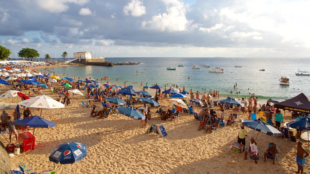 Porto da Barra Beach showing general coastal views, swimming and a beach