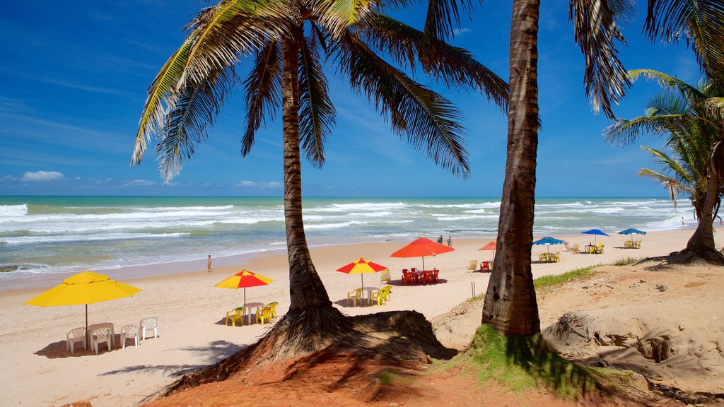 Flamengo Beach som inkluderer tropisk landskap, strand og kyst