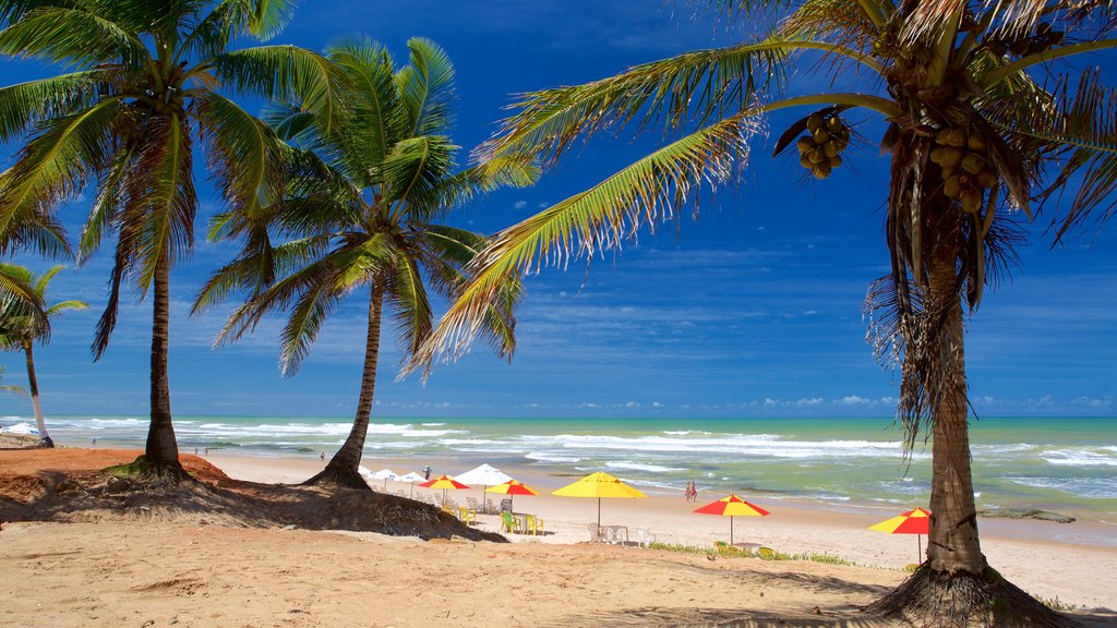 Flamengo Beach which includes a beach, general coastal views and tropical scenes