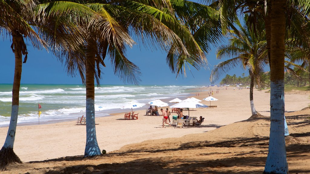 Flamengo Beach which includes tropical scenes, general coastal views and a sandy beach