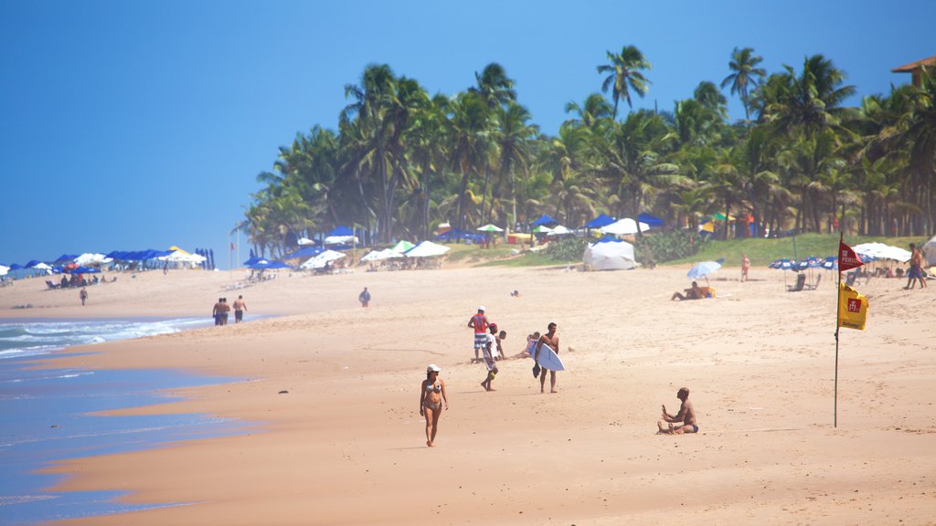 Flamengo Beach fasiliteter samt kyst, tropisk landskap og strand