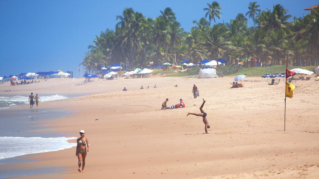 Flamengo Beach mostrando una playa, vista general a la costa y escenas tropicales