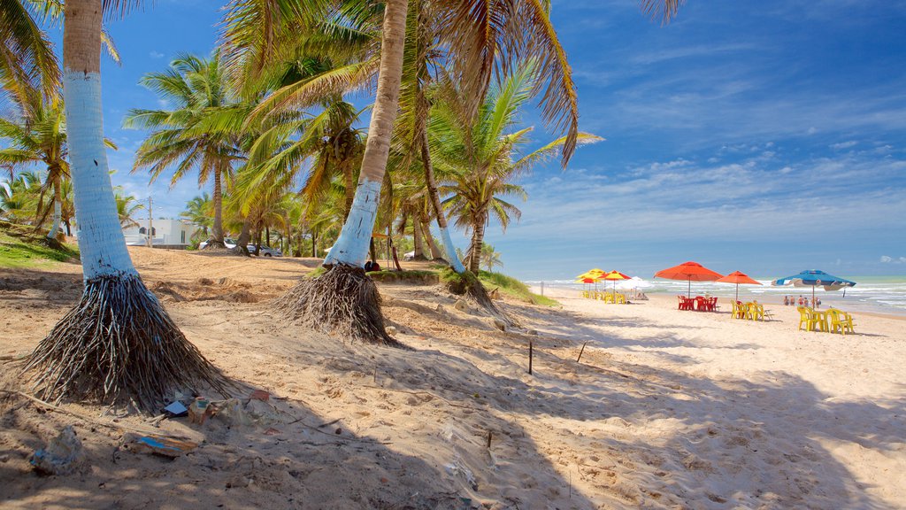 Flamengo Beach som viser tropisk landskap, kyst og strand