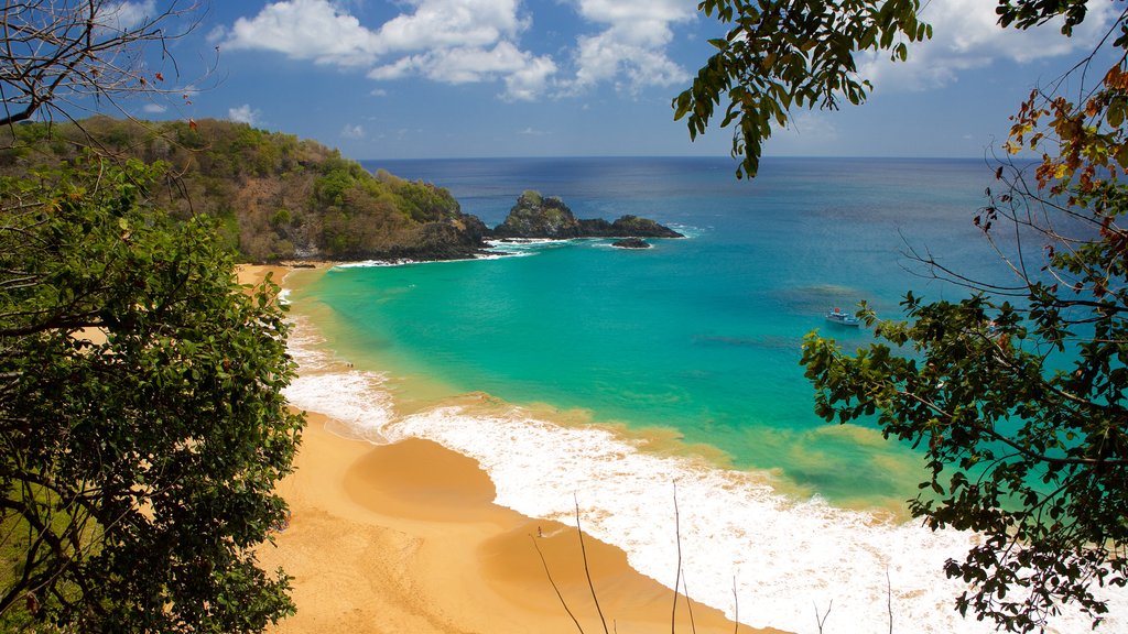 Sancho Beach which includes a sandy beach, surf and general coastal views