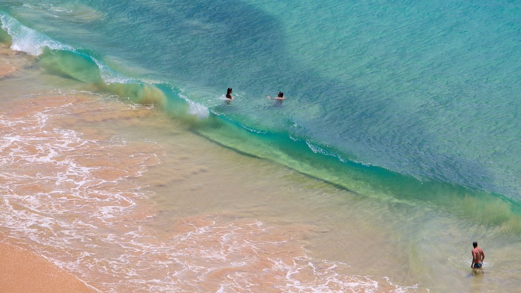 Praia do Sancho mostrando ondas, natação e paisagens litorâneas