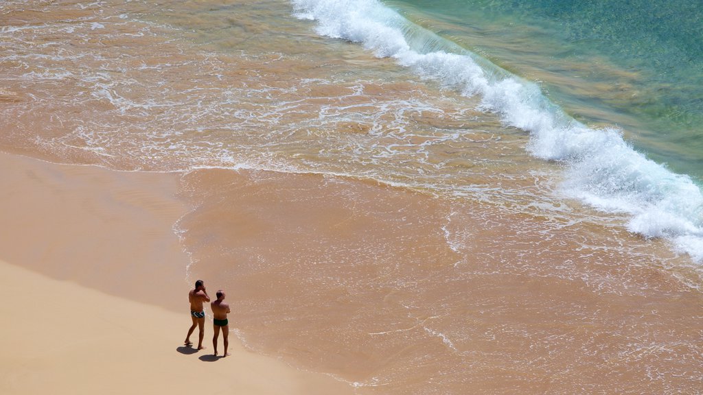 Praia do Sancho que incluye olas y vista general a la costa y también una pareja