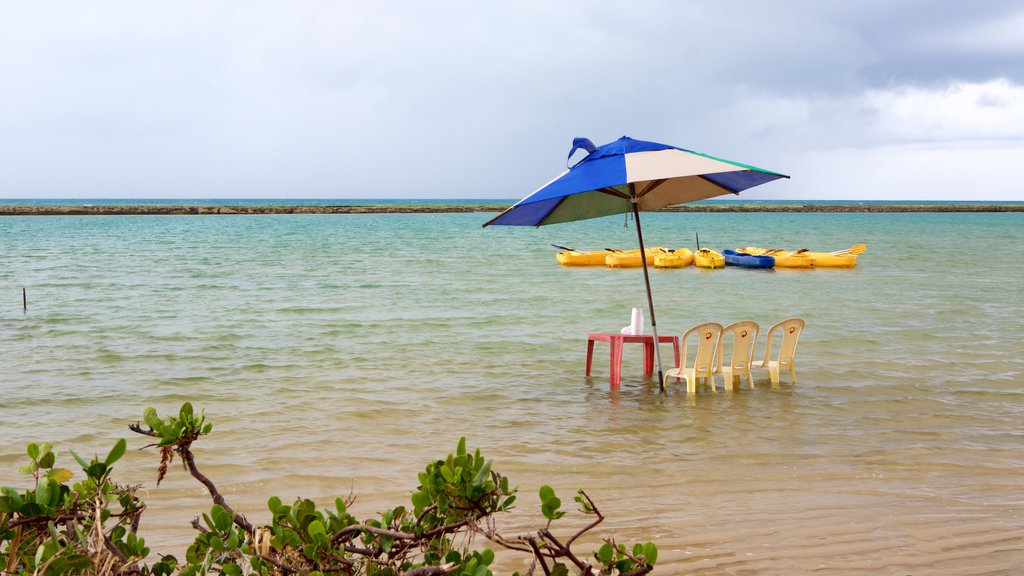 Ipojuca showing general coastal views and kayaking or canoeing