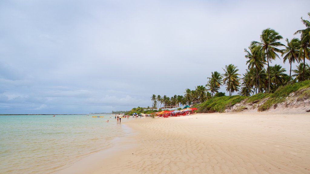 Ipojuca mostrando una playa, escenas tropicales y vistas generales de la costa