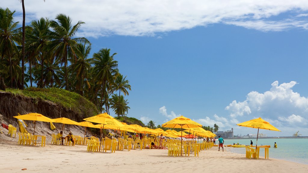 Ipojuca que incluye escenas tropicales, una playa y vistas generales de la costa