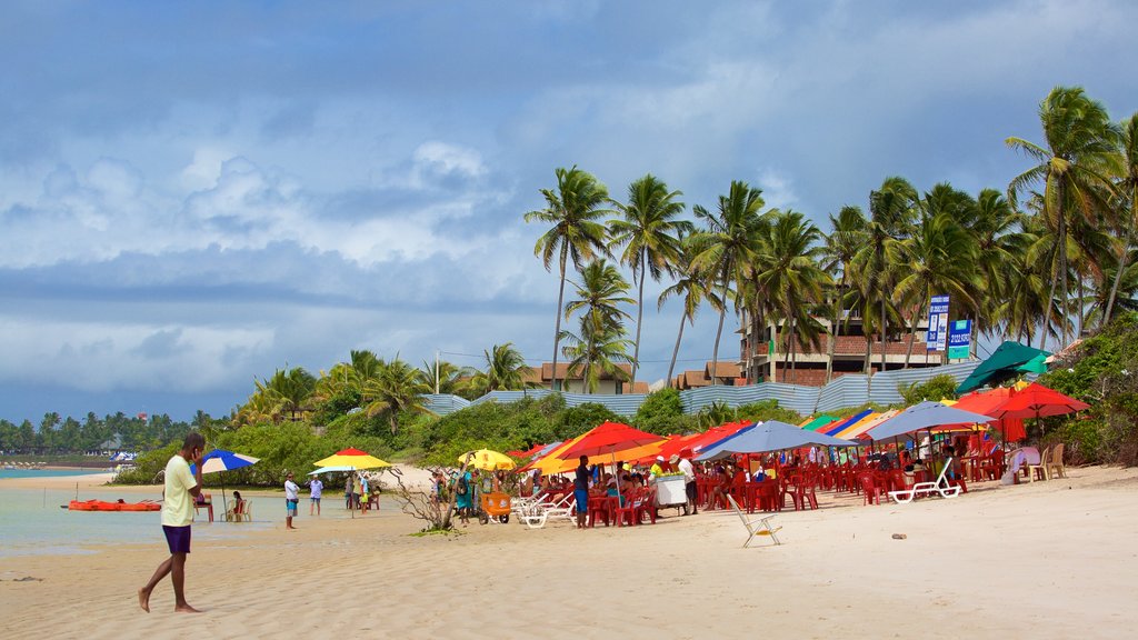 Ipojuca que incluye una playa de arena, vistas generales de la costa y escenas tropicales