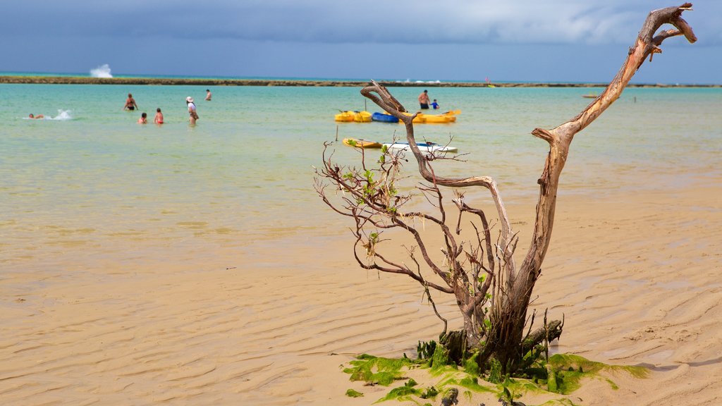 Ipojuca showing a sandy beach, swimming and general coastal views