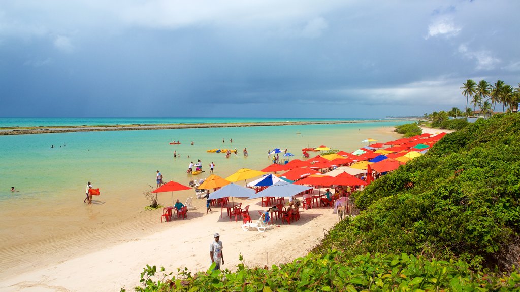 Ipojuca which includes a beach, tropical scenes and swimming