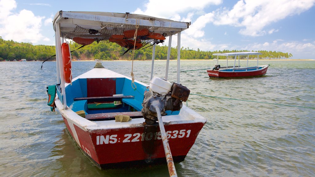 Tamandare featuring general coastal views and boating