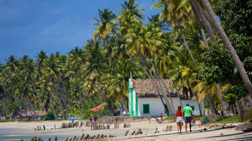 Tamandaré mostrando uma praia de areia, paisagens litorâneas e cenas tropicais