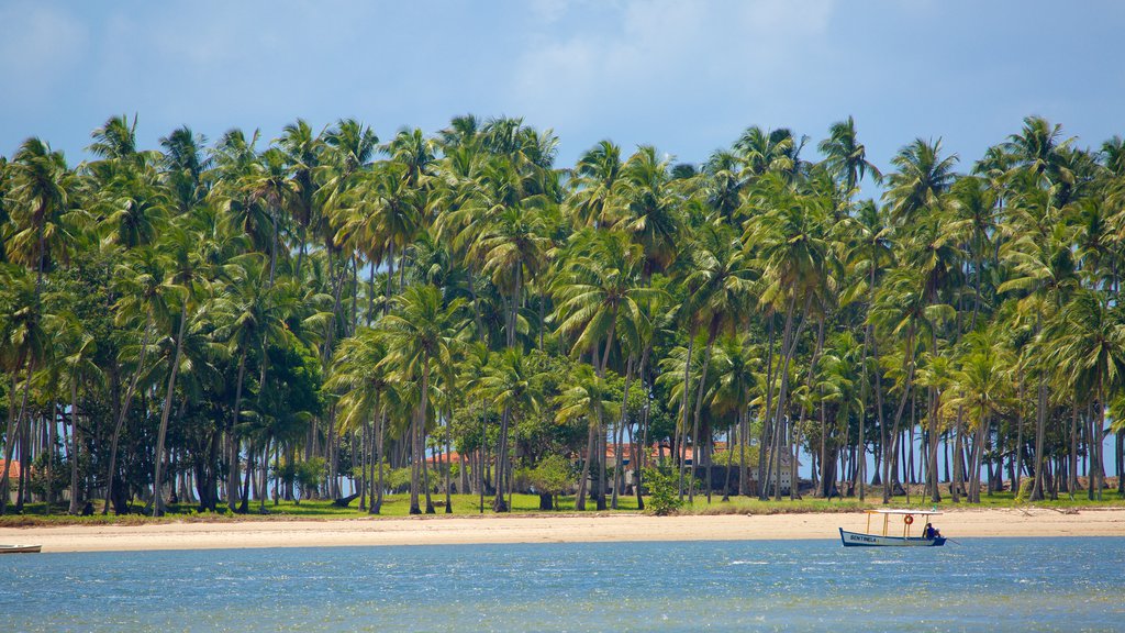 Tamandare que incluye escenas tropicales, paseos en lancha y una playa