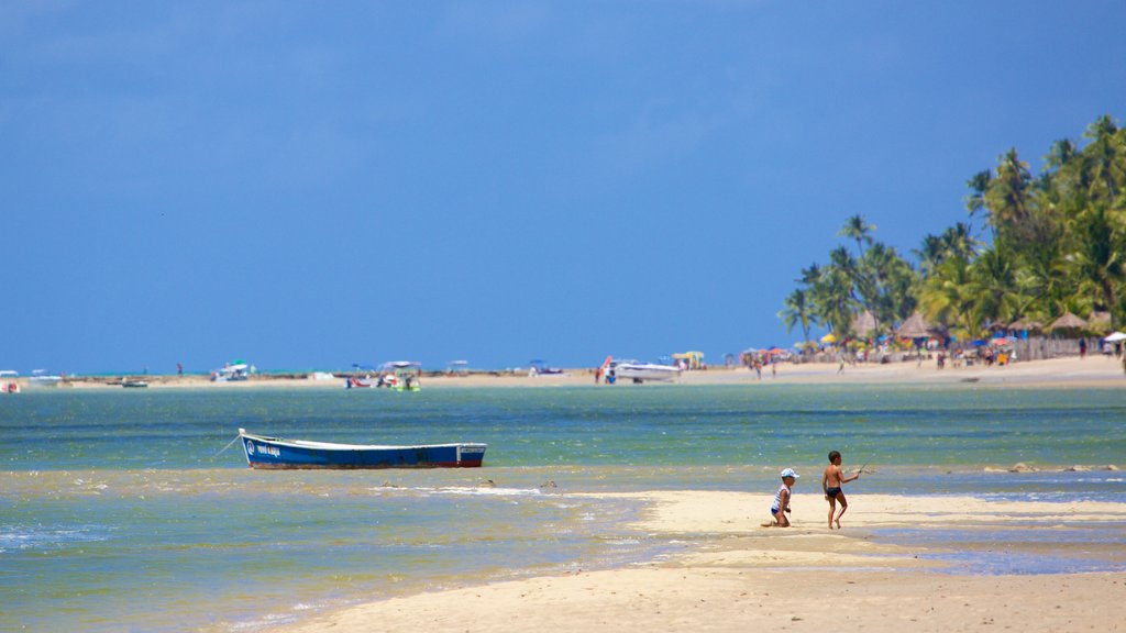 Tamandare mostrando vistas de una costa, escenas tropicales y una playa