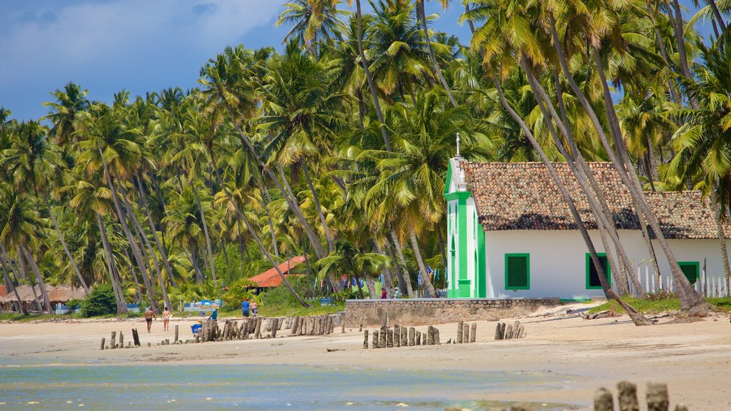 Tamandare que incluye una playa de arena, una iglesia o catedral y vistas generales de la costa