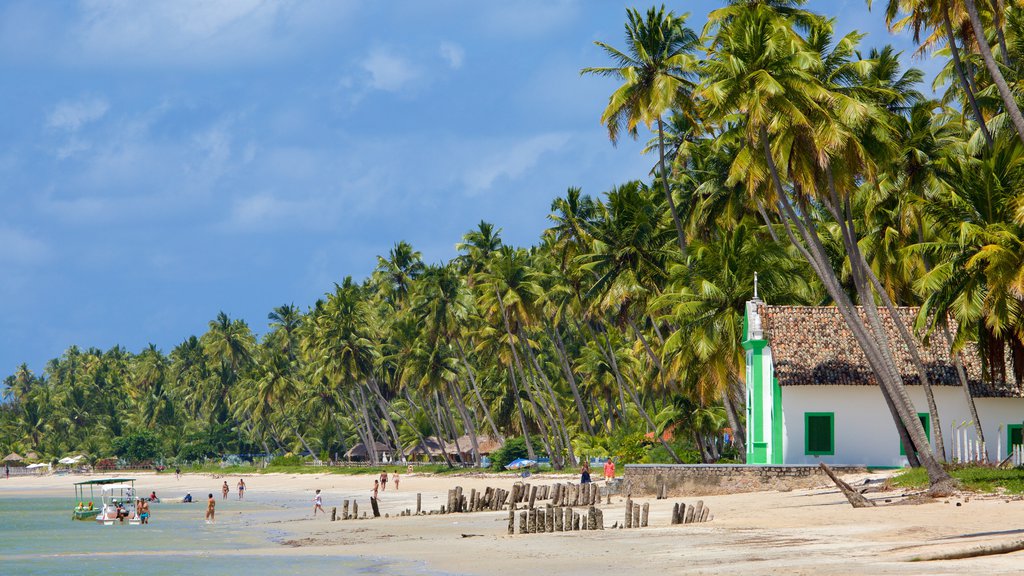 Tamandare featuring general coastal views, a beach and a church or cathedral