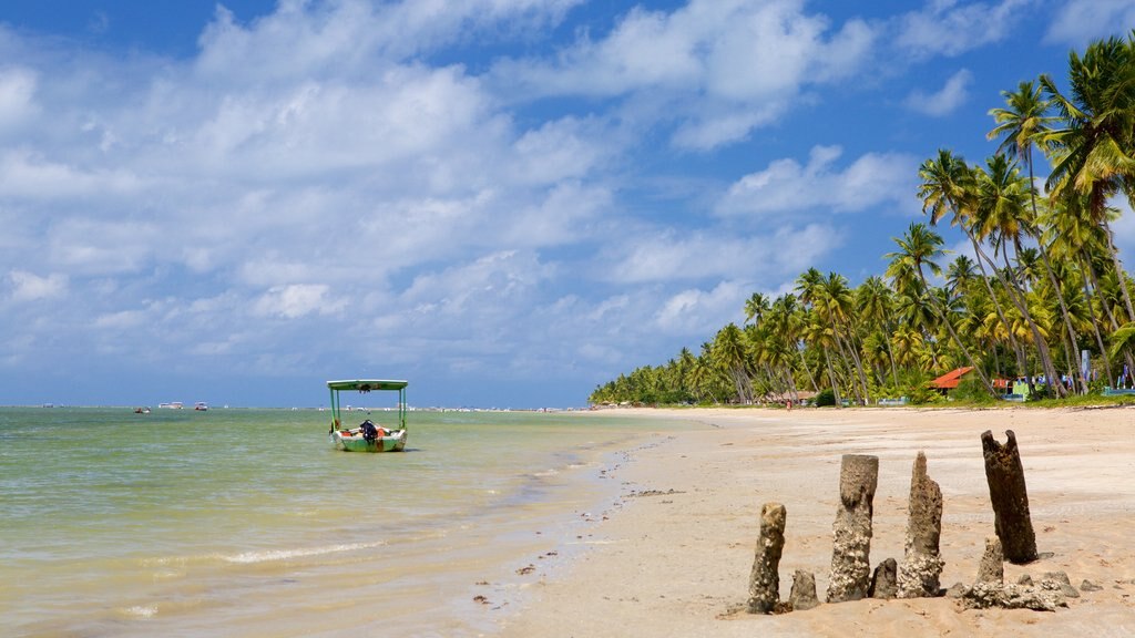 Tamandare showing tropical scenes, a beach and boating