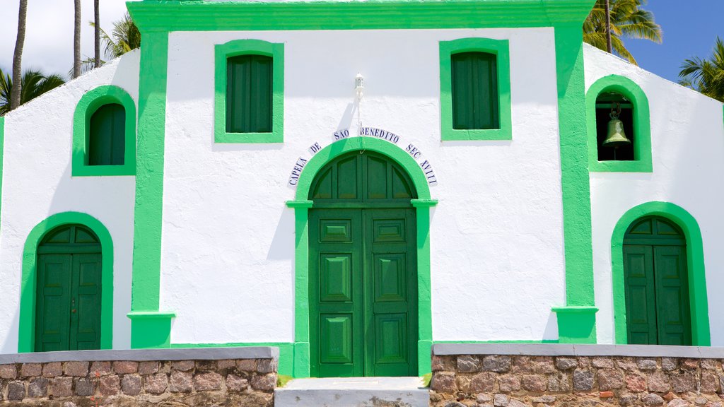 Tamandare showing a church or cathedral and religious elements