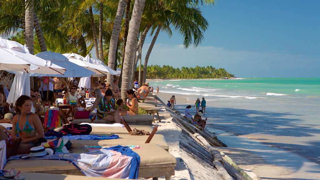 Praia de Ipioca mostrando paisagens litorâneas, um hotel de luxo ou resort e uma praia