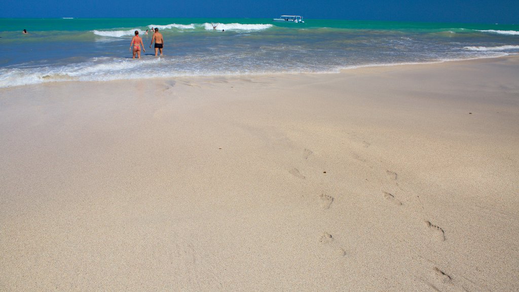 Maceio featuring waves, swimming and a beach